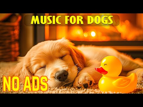 Видео: Музыка для глубокого сна для собак 🐶💖Музыка для снятия тревоги при разлуке🐶Исцеление сна для соба