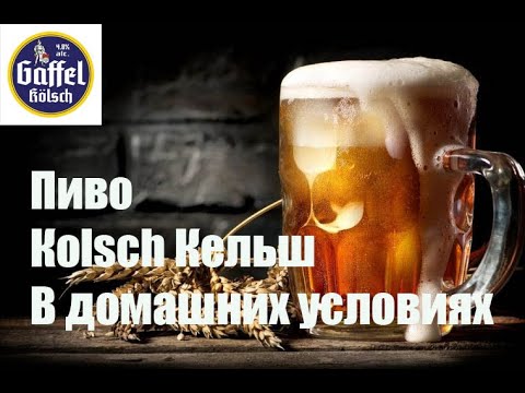 Видео: Пиво клон  Кельш Kölsch варим в домашних условиях. Видео 18+