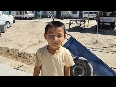 Видео: 24 АВГУСТ 2025 ЖЫЛ ЩЫМБАЙ ДИЙХАН БАЗАР