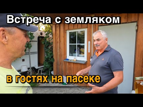 Видео: Занимается и в Германии пчёлами.Выращивает пчелиных маток.Земляк из Казахстана.