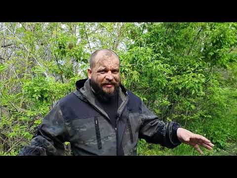 Видео: Вы никогда не добудете чистую воду в дикой природе, но что если использовать походные фильтры?