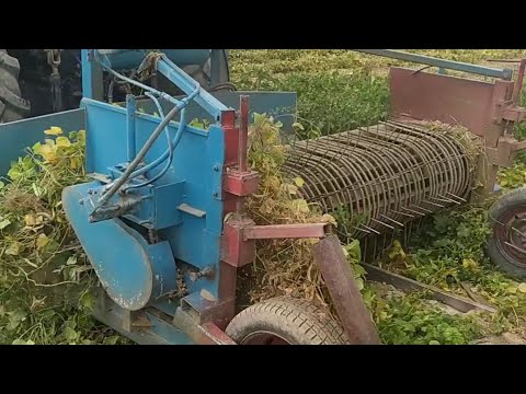 Видео: Фасоль жулгуч агрегат Юто 904