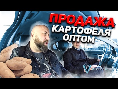Видео: Продажа картофеля оптом. Договор VS Контракт. Оптовый бизнес