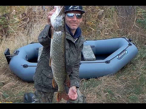 Видео: Щука на джерк с лодки - большая или маленькая приманка лучше?