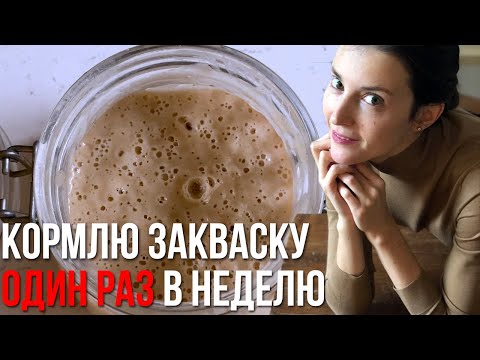 Видео: Ведение закваски. Закваска без остатков после кормления