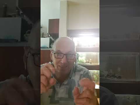 Видео: Водата в аквариума и най важните параметри за здравето на рибките ви