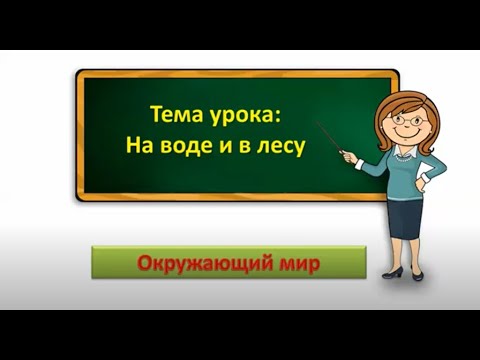 Видео: 2кл.Окр.мир.На воде и в лесу