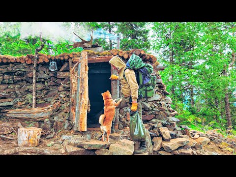 Видео: КАМЕННЫЙ ДОМ - НОВОЕ ОТОПЛЕНИЕ | ЛОСЬ БЕЖИТ ЗА СОЛЬЮ