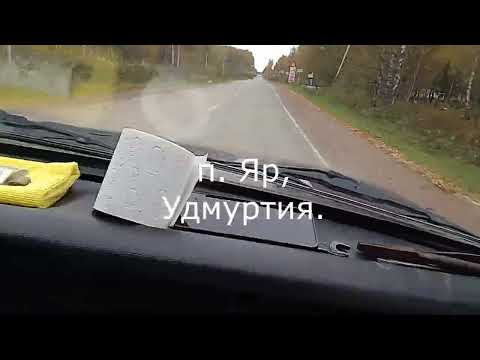 Видео: Собираемся ехать в Киров, Федя не отдает Кузю.