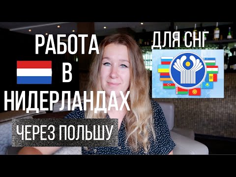 Видео: Работа в Нидерландах по польской визе | легально или нет? | правда о зарплате