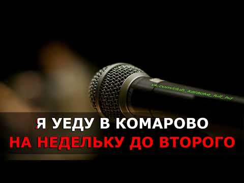Видео: Игорь Скляр - Комарово караоке