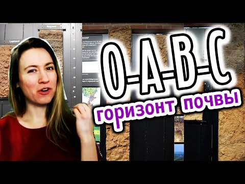Видео: Слои почвы и почвенные горизонты