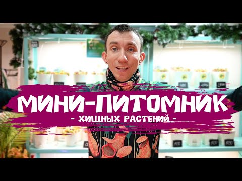 Видео: Обзор мини-питомника с хищными растениями