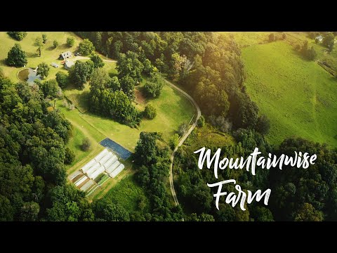 Видео: Туннели Caterpillar спасают ферму на склоне горы в умеренном тропическом лесу