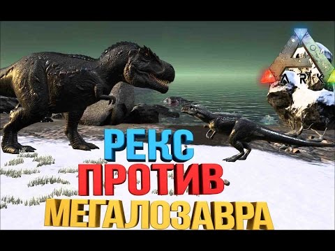 Видео: Битва в АРК | Рекс против Мегалозавра  | Rex vs Megalosaur
