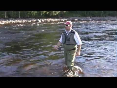 Видео: В Карелию за хариусом