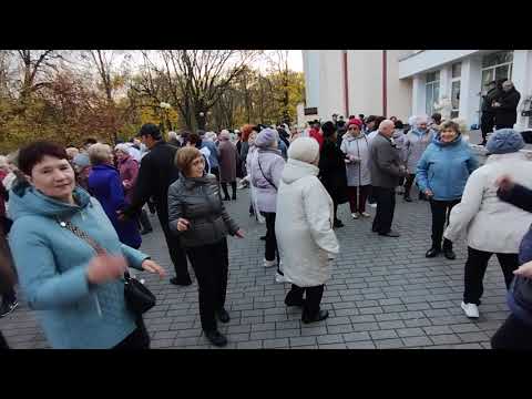 Видео: 26.10.2025.🍇👍Чёрная смородина.В Гомельском парке.