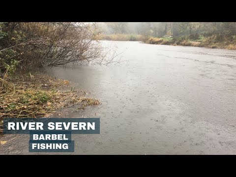 Видео: 🎣 Несколько часов на реке Северн в погоне за усачом