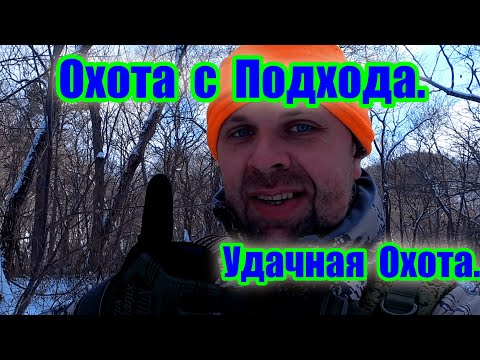 Видео: Охота с подхода.\\ Удачная охота.