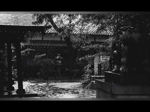 Видео: Тайсен Десимару. Вопросы и ответы