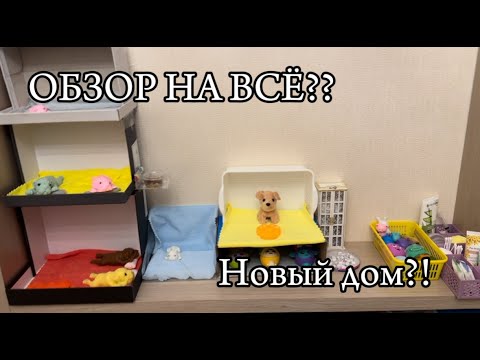 Видео: СКВИШ СОБАЧКИ|Обзор на всё что есть😱