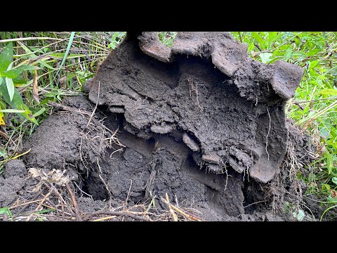 Видео: НАШЛИ ОТЛИЧНЫЙ МЕТАЛЛ МЕЖДУ МУСОРА! КОП МЕТАЛЛА ВДОЛЬ ДЕРЕВЕНСКОЙ ДОРОГИ!