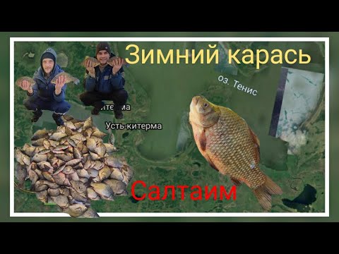 Видео: Зимняя рыбалка на оз. Салтаим, отличный клев карася в глухозимье !!!