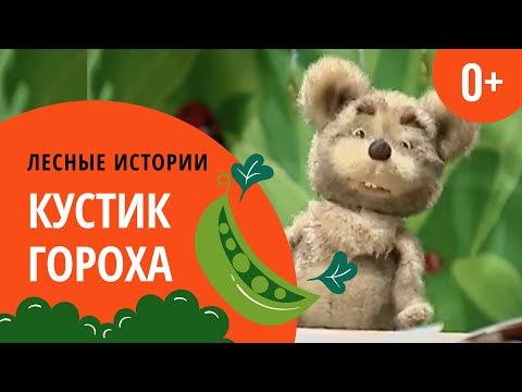 Видео: Кустик гороха | Лесные истории (0+)