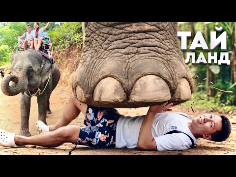 Видео: Осымен бәрі бітті 🐘 (Таиланд￼) #3