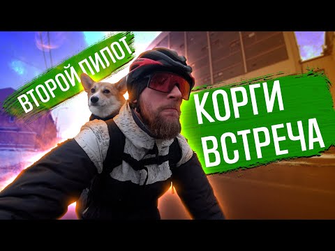 Видео: Через весь город с собакой | ГУЛЯЙНЕН (2023)