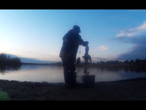 Видео: За щукой на озеро а клевал окунь как из пулемета.