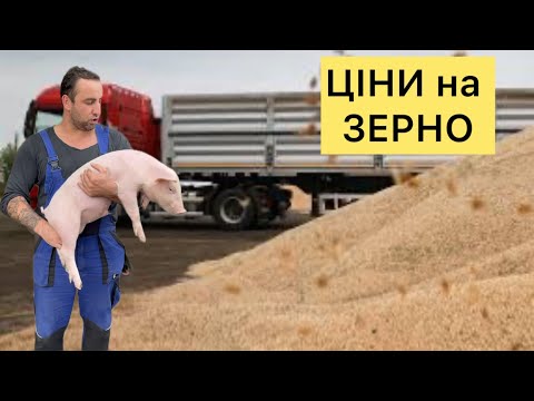 Видео: Що ТВОРИТЬСЯ🔥ЦІНИ на ЗЕРНО, обігрів 🐖Корм для Свиней