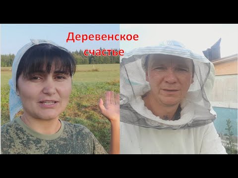 Видео: Последний мёд 🍯 Стройка продолжается)