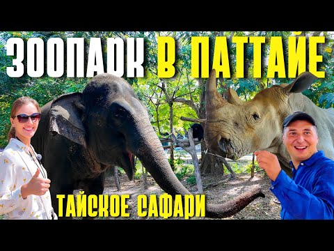 Видео: ЛУЧШИЙ ЗООПАРК ИЗ ПАТТАЙИ - КХАО КХЕО! ТАИЛАНД 2024