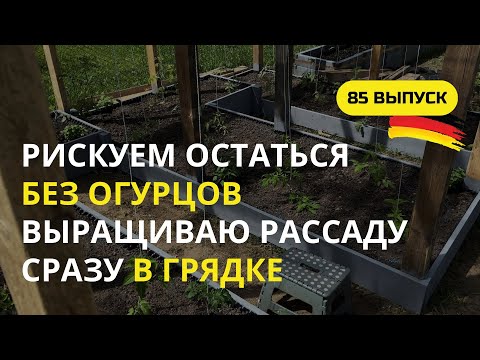 Видео: Дача в Германии. 85 выпуск. Рискуем остаться без огурцов? Выращиваю рассаду под колпаком