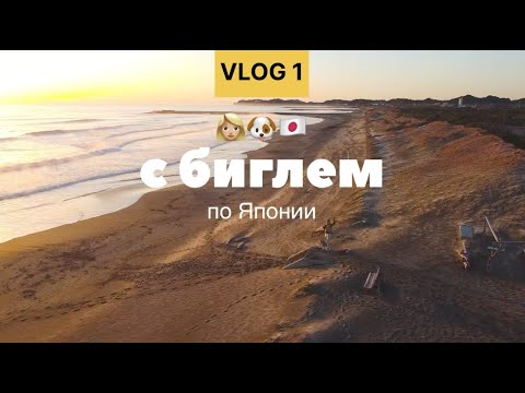 Видео: ВОЖДЕНИЕ В ЯПОНИИ. СЕРФИНГ. БИГЛЕВСТРЕЧА
