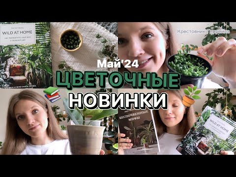 Видео: 🪴 Новинки комнатных растений | Распаковка посылки 📦 Хойи, Шривериана, крестовник и др 🌿| Май’24