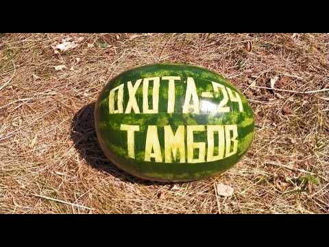 Видео: Охота на утку в Тамбовской области 2024. Открытие.