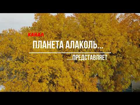 Видео: Ушарал. осень. центр. 5 октября 2021г.