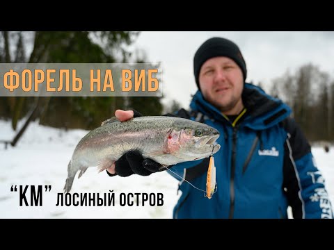 Видео: ФОРЕЛЬ на ВИБЫ - лучший вариант когда нигде не клюёт! / Клевое Место Лосиный остров