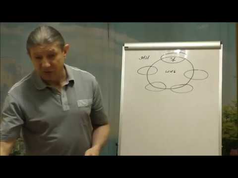 Видео: Диагностика здоровья по системе У-СИН. 1 занятие