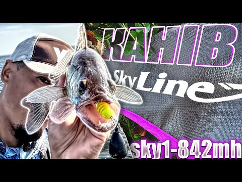 Видео: Тест Favorite Skyline 842MH 🎣 Судак в Каневі