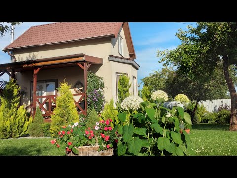 Видео: Идеальные сочетания Цветов🌹 и Растений🌿 для Малоуходного Сада #сад #garden