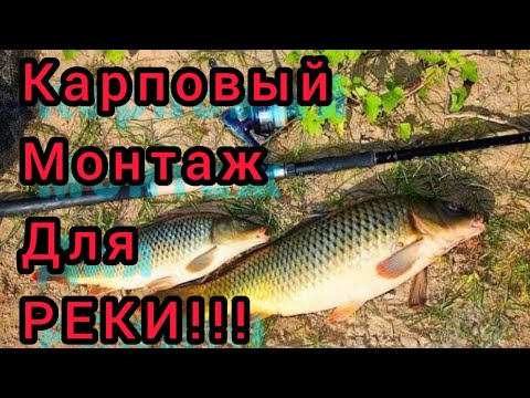 Видео: Карповый монтаж для рыбалки на Реке!!! Ловит рыбу100%!!!