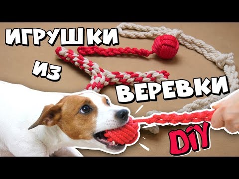 Видео: DIY ИГРУШКИ ДЛЯ СОБАК | ПРОЧНЫЕ ИГРУШКИ ИЗ ВЕРЁВКИ