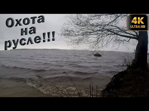 Видео: ПОДВОДНАЯ ОХОТА В ЗАКОРЯЖЕННОМ РУСЛЕ ВОДОХРАНИЛИЩА!!! ИНТЕРЕСНАЯ И  ЗАХВАТЫВАЮЩАЯ!!!