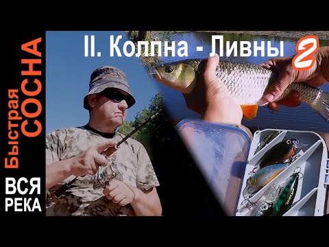 Видео: Второй день сплава до Ливен. Плутаю не пойми где 🐟🛶🏕️ Колпна - Ливны 2. Быстрая Сосна