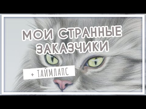 Видео: Мои странные заказчики. Рисую мейн-куна (цветные карандаши Faber Castell, Derwent Lightfast)