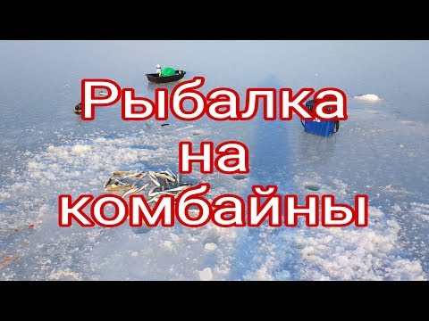 Видео: Рыбалка на комбайны в Тавричанке. Навага на комбайны.   #жекарыболов #зимняярыбалка