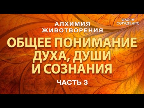 Видео: Алхимия Животворения | Общее понимание духа, души и сознания #Гарат #школаСорадение